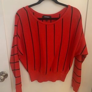 Express Cropped Sweater